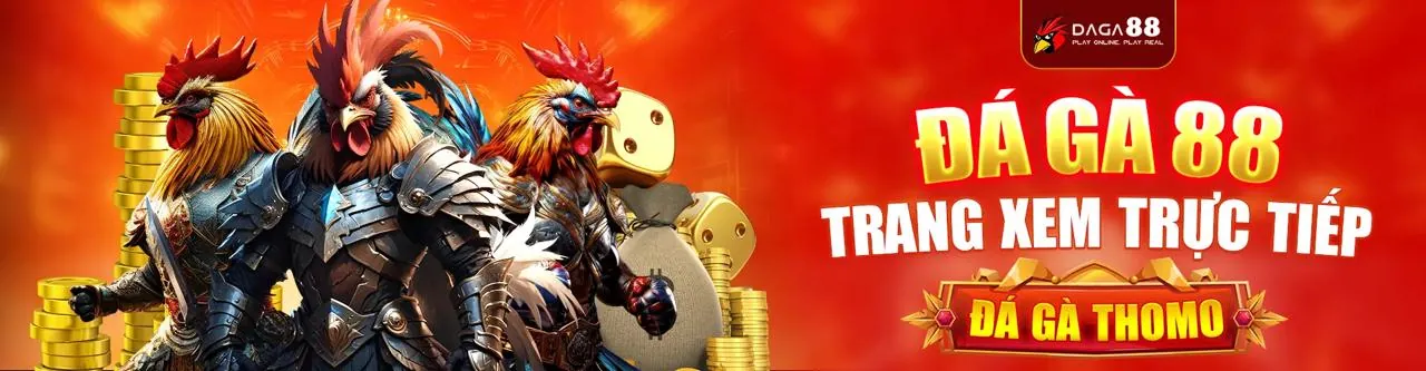 Quản Lý Tài Khoản Cá Nhân King88 Bet VIP