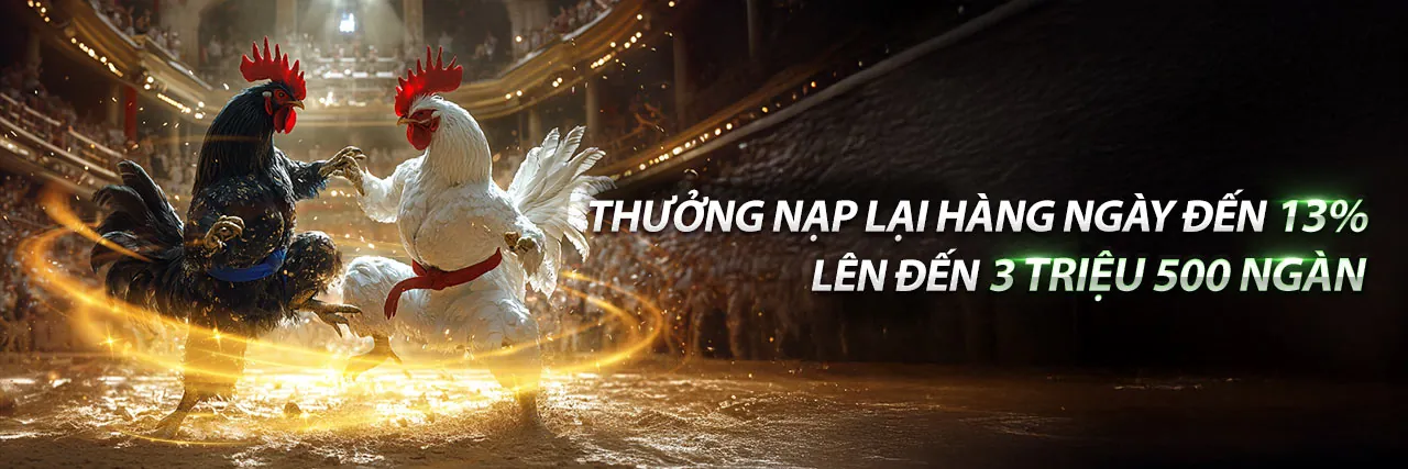 Hình ảnh chính blog King88 Bet