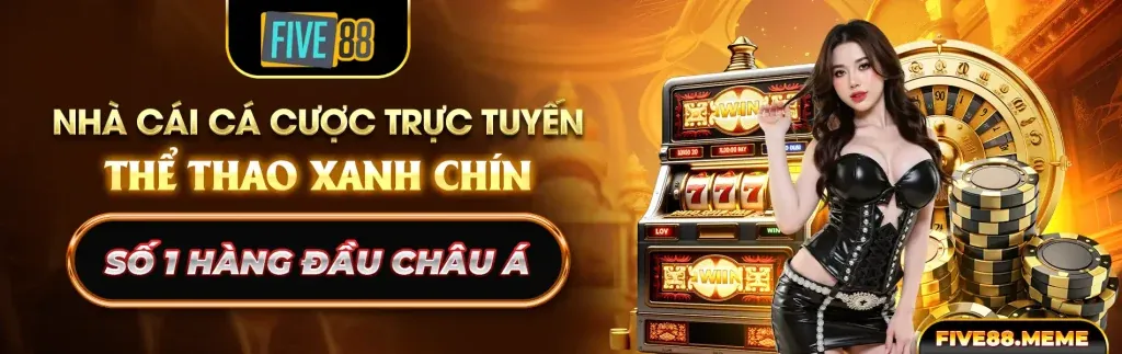 Quy trình xử lý dữ liệu an toàn tại king88 bet