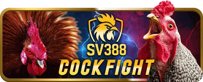 Cấp Độ VIP Bạc King88 Bet