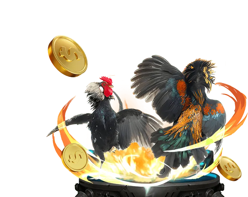Tổng quan đá gà King88 Bet